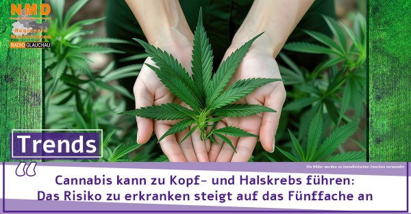 Cannabis kann zu Kopf- und Halskrebs führen: Das Risiko zu erkranken steigt auf das Fünffache an