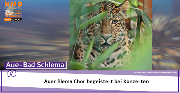 Aue - Auer Blema Chor begeistert bei Konzerten