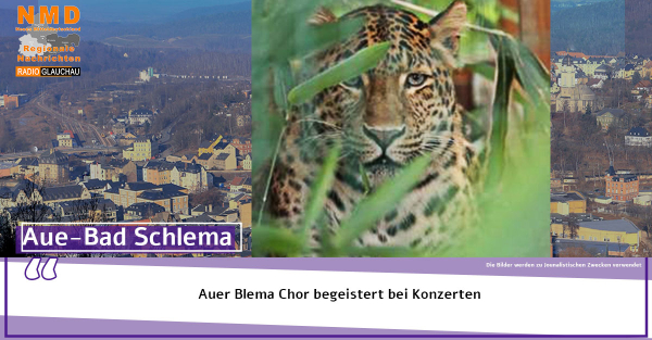 Aue - Auer Blema Chor begeistert bei Konzerten