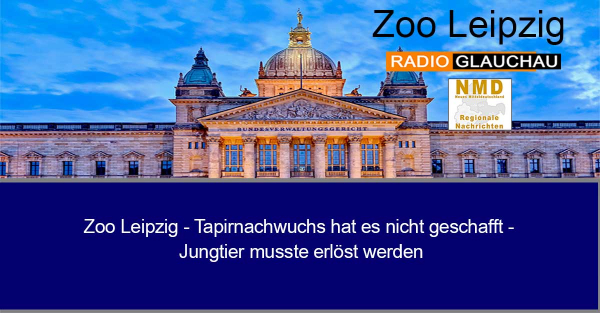 Zoo Leipzig - Tapirnachwuchs hat es nicht geschafft - Jungtier musste erlöst werden